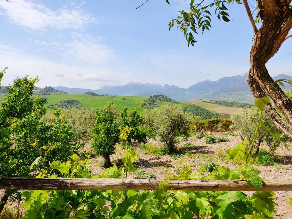 Villa Huerta Nacimiento 몬테코르토 외부 사진